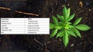 Effects of Marijuana As Explained in Delhi Police's Press Release Are Hilarious, Chart of Ganja Names Goes Viral