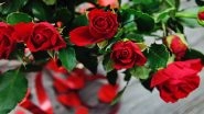 Pakistan University Attempts to Rebrand Valentine's Day as 'Sister's Day'