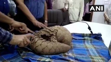 Maharashtra: Pangolin Worth Rs 40 Lakh Seized by Thane Police, 2 Men Arrested Trying to Sell the Endangered Species