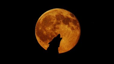 Super Blood Wolf Moon Eclipse on January 20, 2019: Know What is Total Lunar Eclipse and Why is it Called Wolf Moon