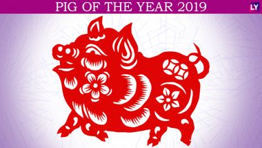Chinese New Year 2019: What Does It Mean to Be Born in the Year of the Pig?