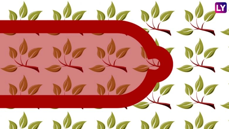 Vegan Condoms for Eco-Conscious and Safe Sex