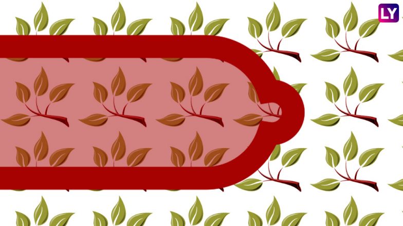 This German Vegan Condom Brand Is the Answer for Eco-Friendly Protection and Safe Sex