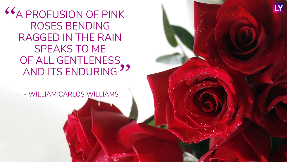 Rose Day 2019 Romantic Quotes: 7 Beautiful Lines to Share With Your ...