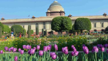 Udyanotsav 2019: Flowers Lay a Beautiful Carpet at Rashtrapati Bhavan's Mughal Gardens in Delhi