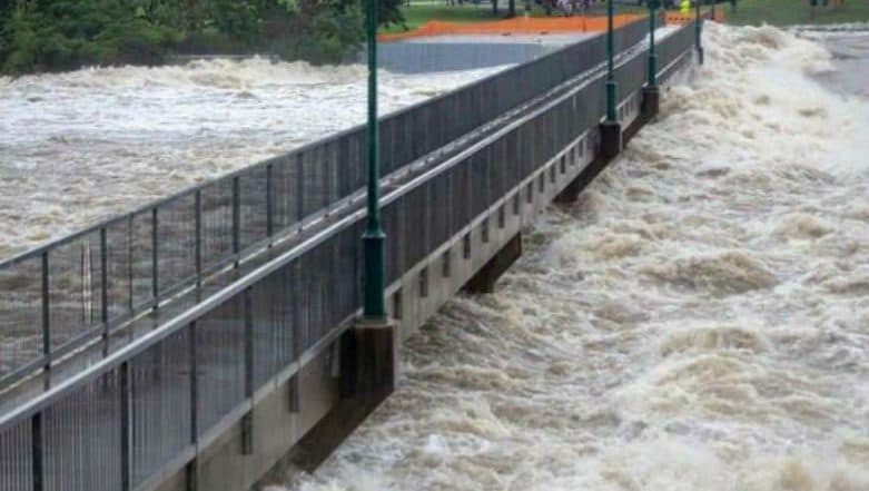 Australia Floods 2019: 'Hundreds of Thousands' of Cattle Feared Dead Australia Floods 2019: 'Hundreds of Thousands' of Cattle Feared Dead