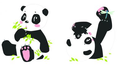 Teddy Day 2019: Cute And Funny Panda Videos To Share With Your Loved One This Valentine Week (Watch Videos)