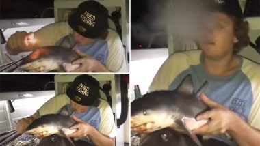 Dead Baby Shark Used To Make Bong in Australia! Smoker Defends His Action As Netizens Slam Him (Watch Video)