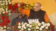 Lok Sabha Elections 2019: Amit Shah Eyes Sharad Pawar's Bastion Baramati, Tells Partymen Less Than 45 Seats in Maharashtra Won't Be Deemed as Win
