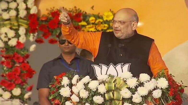 Lok Sabha Elections 2019: Amit Shah Eyes Sharad Pawar's 