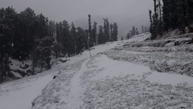 Hailstorm, Heavy Rains Lash Delhi NCR, Punjab, Haryana; Snowfall In Jammu & Kashmir, Himachal; See Pics And Videos