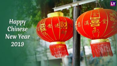 Coopay 10 Pack Chinese Red Lanterns Festival Decorations for New Year Spring... 