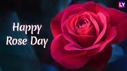 Rose Day 2019 Greetings & Messages: SMS, GIF Images, WhatsApp Stickers to Wish Happy Rose Day to Your Loved Ones This Valentine's Week