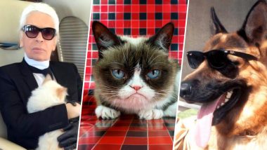 Surprised by the Money Karl Lagerfeld's Pet Cat Choupette Inherits? Meet 5  Pet Animals Who Own a Fortune! | 👍 LatestLY