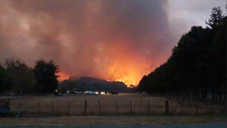New Zealand Forest Fires Set to Get Worse, Thousands Flee Their Homes New Zealand Forest Fires Set to Get Worse, Thousands Flee Their Homes