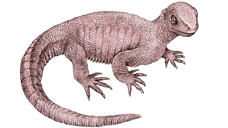 Cancer in the Time of Dinosaurs? A 240-Million-Year-Old Animal Died of Bone Cancer According to New Findings