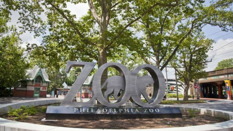 Family-Friendly Places to Visit in Philadelphia Including America’s First Zoo and Children’s Museum Family-Friendly Places to Visit in Philadelphia Including America’s First Zoo and Children’s Museum