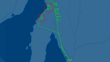 Adelaide Pilot Draws Penis and 'I m Bored' Graffiti in Sky on Test Flight, View Pic!