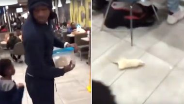 Rat in McDonald's! Man Releases Rodent in New Jersey Outlet Causing Panic Among Customers (Watch Video)
