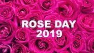 When Is Rose Day 2019 in Valentine Week? Date and Significance of Rose Day Before Valentine&rsquo;s Day