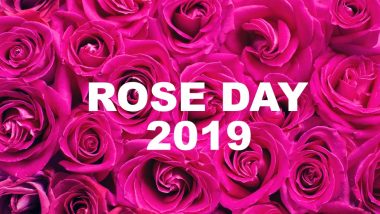 When Is Rose Day 2019 in Valentine Week? Date and Significance of Rose Day Before Valentine’s Day