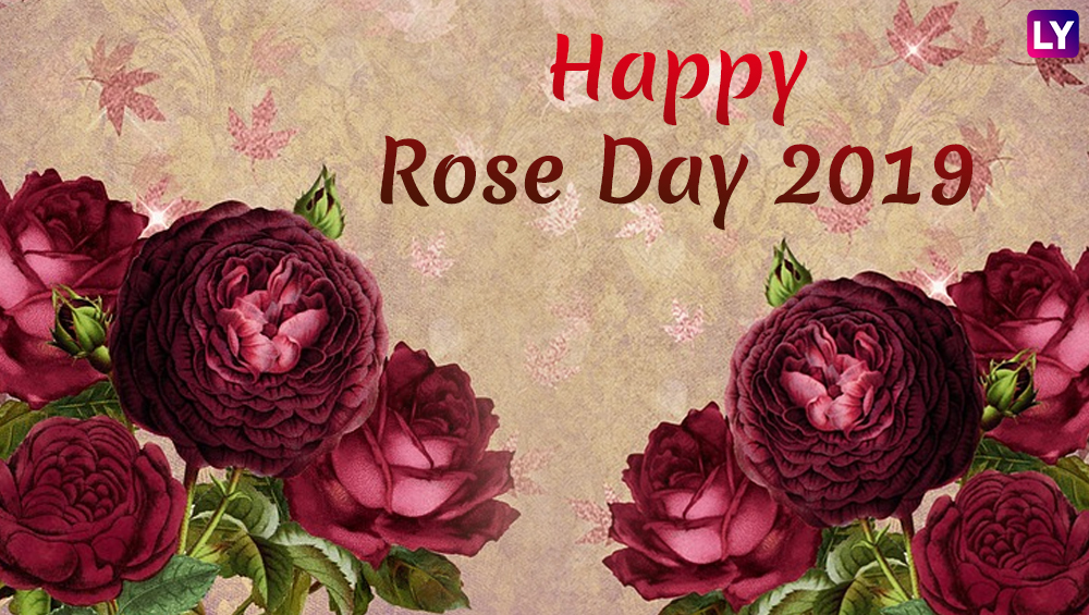 Rose Day 2019 Images HD Wallpapers for Free Download 