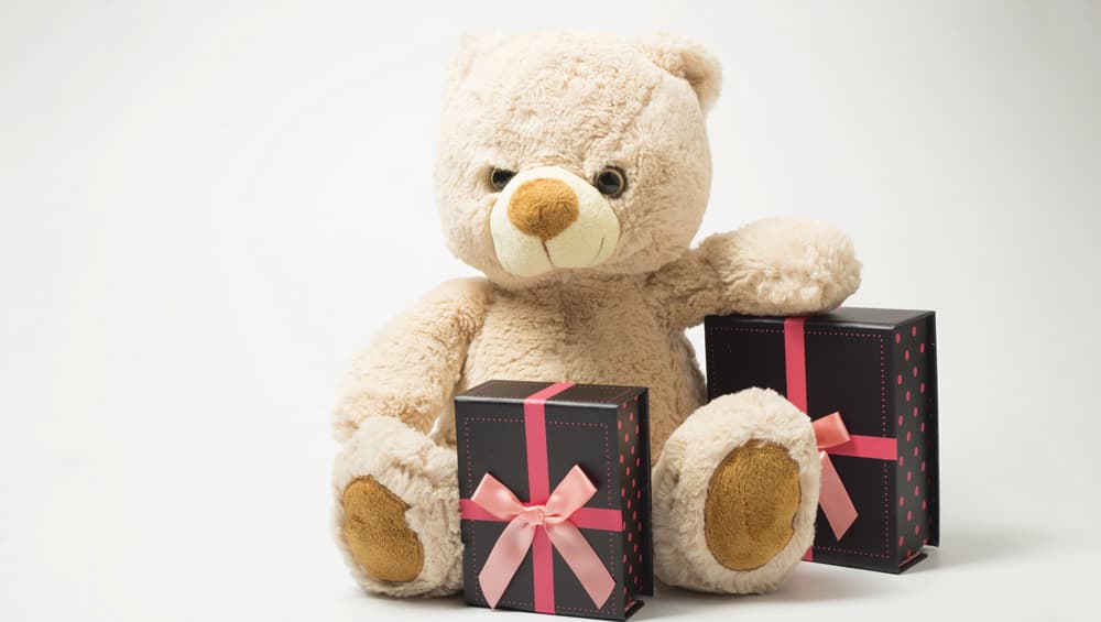 teddy day gift for gf