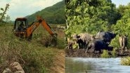 NDA Govt Risks Wildlife by Giving 20% More Infra Clearances Than UPA-II Tenure, Activists Sound Red Alert