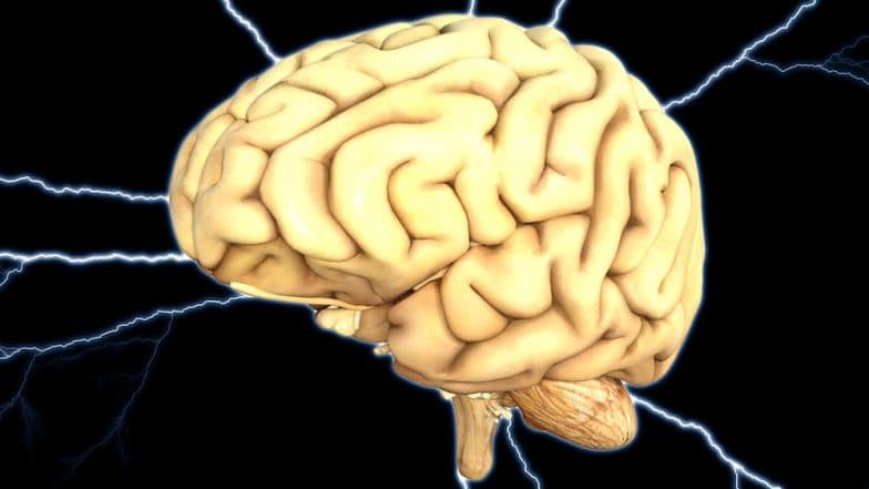 Men's Brain Diminish Faster Than Women's With Growing Age, Says New Study Men's Brain Diminish Faster Than Women's With Growing Age, Says New Study