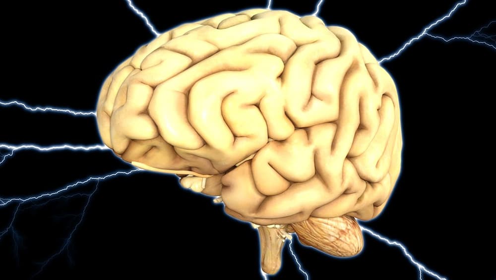 Autistic People Have Symmetrical Brain Hemispheres: Study Autistic People Have Symmetrical Brain Hemispheres: Study