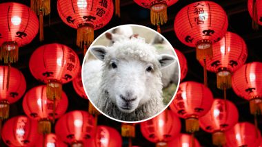 Chinese New Year 2019 Celebrations Day 4: Know the Traditions Associated With Day of the Sheep in the Lunar New Year