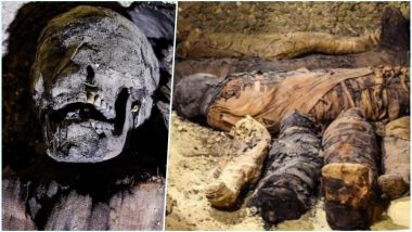 Egyptian Archaeologists Discover 50 Mummies at Ancient Burial Site Near Cairo; View Pics