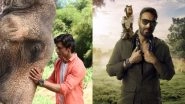 Total Dhamaal, Junglee: Upcoming Movies That Extend the Fun to the Animal Kingdom - Watch Video