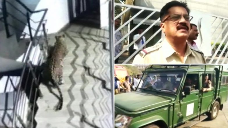 Leopard Spotted at Korum Mall in Thane Caught in Premises of Hotel Satkar Residency; Watch Video