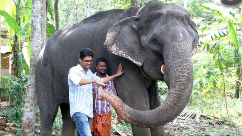 Granny Dakshayani, India's Oldest Elephant in Captivity Passes Away in Kerala at 88