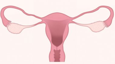 World Ovarian Cancer Day 2020: From Appetite loss to Painful Sex, Signs of Ovarian Cancer That Are Very Easy To Miss