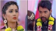 Kumkum Bhagya February 13, 2019 Written Update Full Episode: Abhi and Pragya&rsquo;s Wedding News Makes Tanu, Aalia and Mr King Unhappy