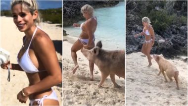 Fitness Model Michelle Lewin Gets Bitten by Wild Beach Pig at Bahamas Island During Photoshoot (Watch Video)