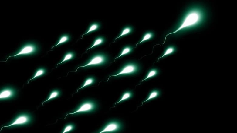 'Old' Sperm Produces Healthier Offspring, Says New Study 'Old' Sperm Produces Healthier Offspring, Says New Study