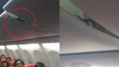 Lion Air Passenger Shares Video of Scorpion Crawling Out of Overhead Luggage; Video Goes Viral