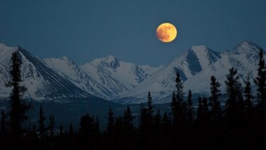 Super Snow Moon 2019 Live Streaming & Time in IST: Watch Supermoon as it Appears on February 19
