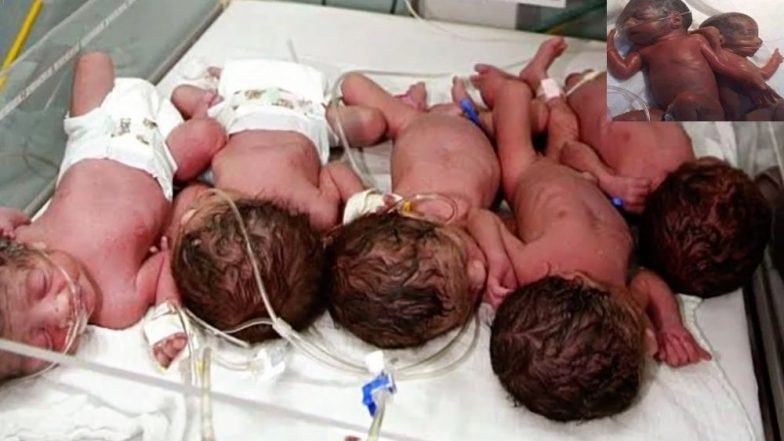 Image result for Iraqi woman delivers septuplets