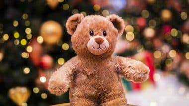 happy teddy day date 2019