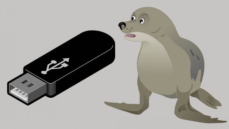 Working USB Found From Seal's Poop! Scientists From New Zealand are Looking For its Owner Working USB Found From Seal's Poop! Scientists From New Zealand are Looking For its Owner