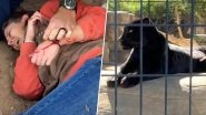 Jaguar Attacks Woman at Arizona Zoo As She Tries to Take Selfies With the Wild Animal, Video Goes Viral