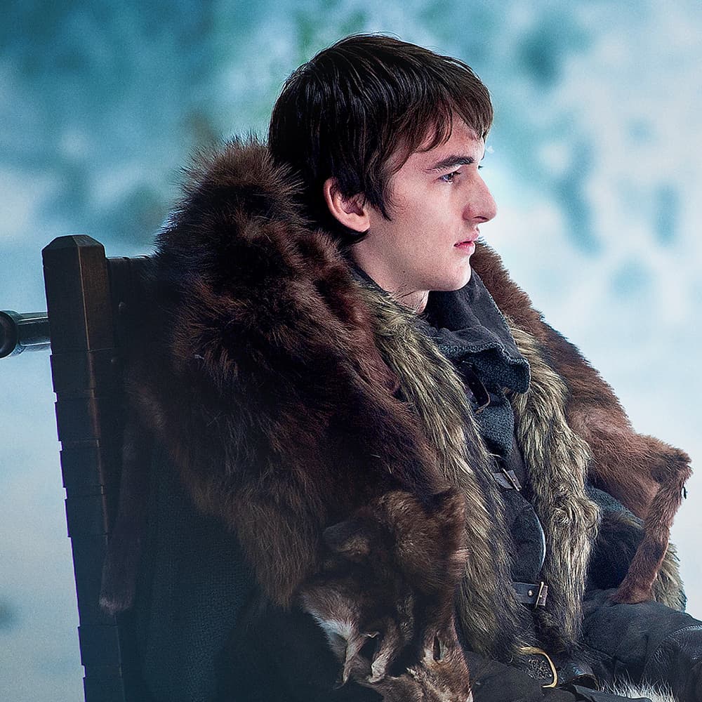 Isaac-Hempstead Wright as Bran Stark.