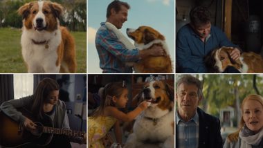 A Dog's Journey Trailer: Bailey is Back and His New Journey is Even More Adorable - Watch Video