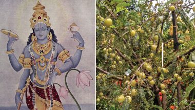 Amalaki Ekadashi 2019 Date and Time: Know Tithi, History and Vrat Significance of This Auspicious Day Worshipping Lord Vishnu