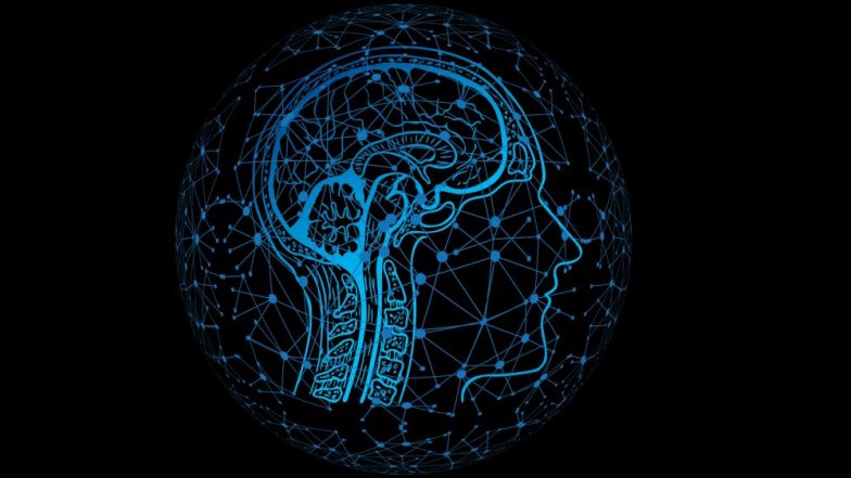 Will You Die Within a Year? AI Will Now Predict Chances of Patients' Death Based on ECG Results