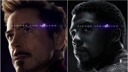Avengers: Endgame New Character Posters Reveal Who Survived Thanos' Snap and Who Didn't - View Pics!